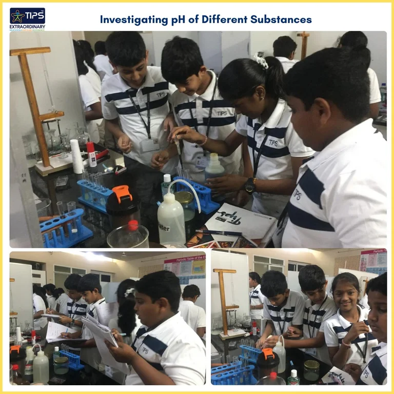 Investigating pH of Different Substances @ TIPS ERODE