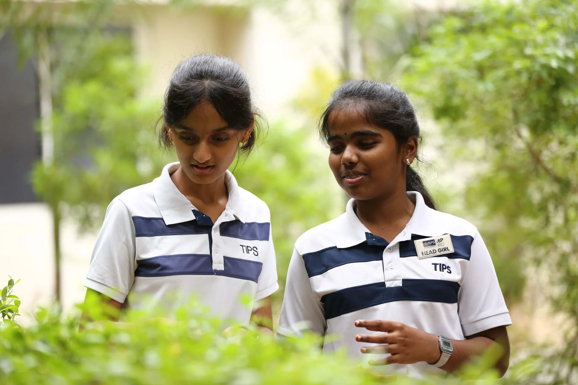 Our campuses