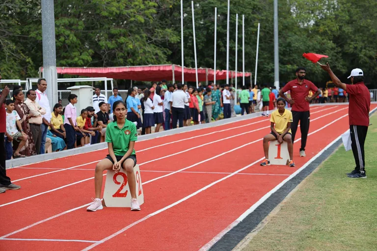 Senior sport